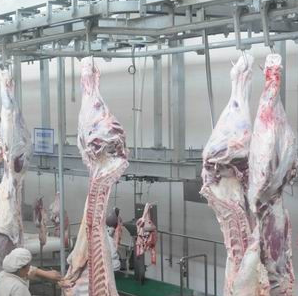 安徽91免费网站在线观看冷冻库的工作原理。