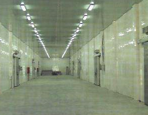 让91免费黄片观看厂家告诉你，冷冻库和气调库的区别？