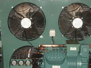 91免费黄片观看厂家1