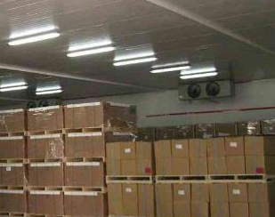 91免费黄片观看厂家让你知道气调库的优越性。