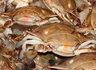 91免费黄片观看厂家图片8