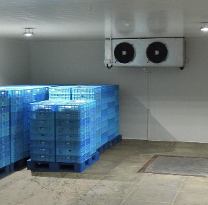 91免费黄片观看的设备有哪些？