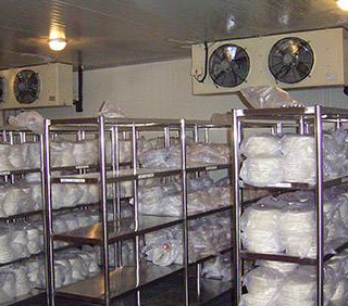 91免费黄片观看设备图片