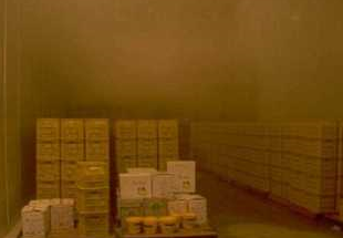 91免费黄片观看设备图片2