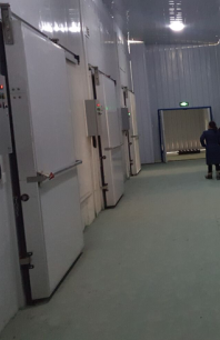 91免费黄片观看厂家图片