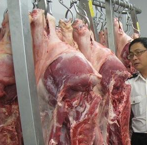 91免费黄片观看设备厂家