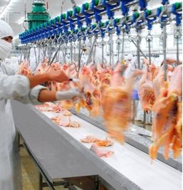 91免费黄片观看厂家图片2