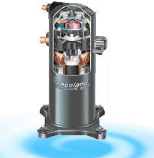 91免费黄片观看安装图片