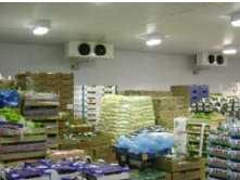 91免费黄片观看厂家的图片103