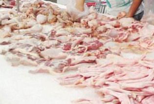 91免费黄片观看厂家的图片104