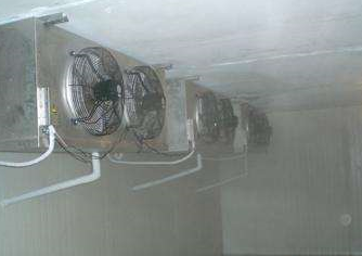 91免费黄片观看设备101