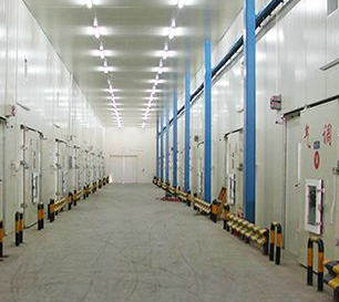 91免费黄片观看安装103