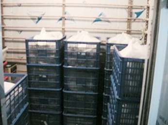 91免费黄片观看安装