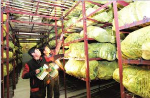 91免费黄片观看厂家维修