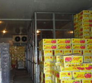 91免费黄片观看