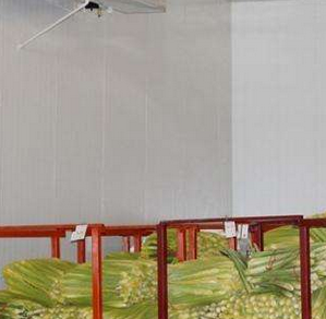 91免费黄片观看安装