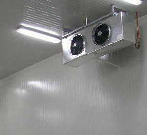 91免费黄片观看安装