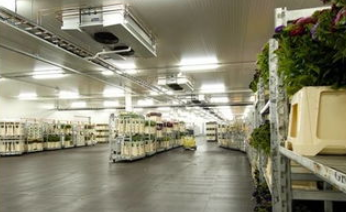 91免费黄片观看设备厂家