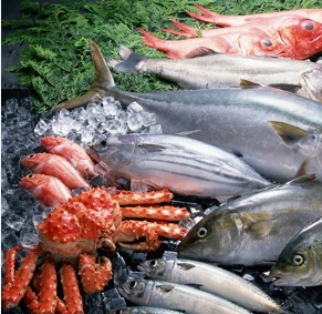 冷库冷藏、冻结、冷却间的温度参考