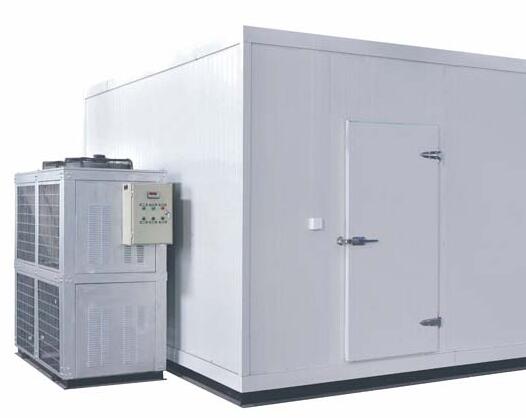 91免费黄片观看安装