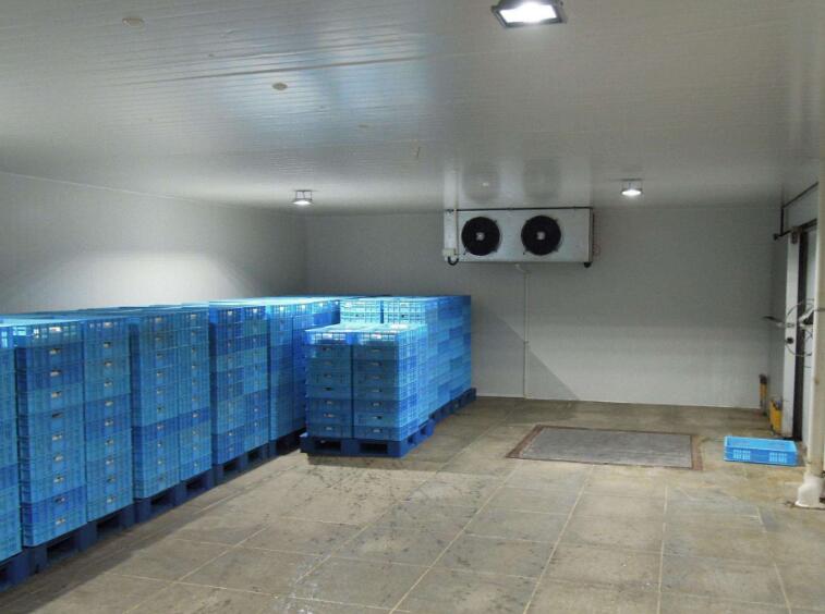 91免费黄片观看安装