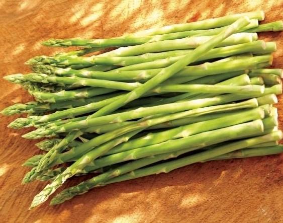 气调冷库——没有安全措施一定要慎入！