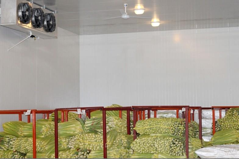 冷库保养方法有哪些？如何避免冷库产生异味？