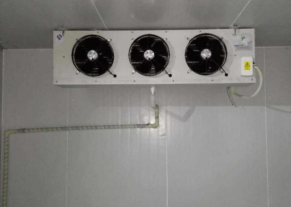 91免费黄片观看维修