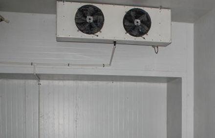 91免费黄片观看维修