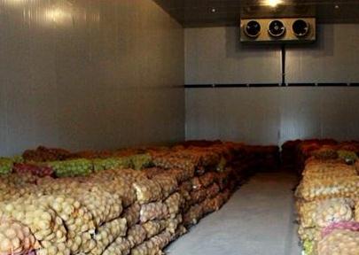 91免费黄片观看安装