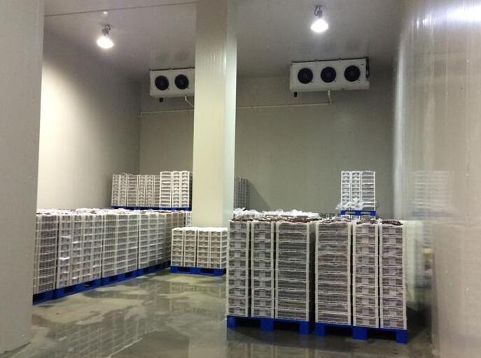 冷库建造类型有几种？91免费黄片观看的价格组成部分？