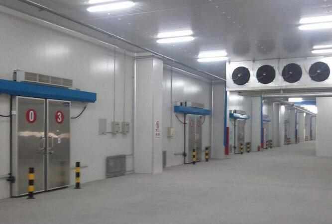 水果冷库保鲜效果如何？小企业安装91免费黄片观看大概要多少费用？