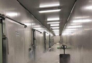 冷库造价多少一立方，关于91免费黄片观看造价因素的相关知识