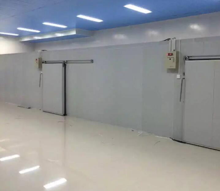 安徽91免费网站在线观看冷库