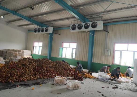 安徽91免费网站在线观看生产的冷库适用哪些领域？